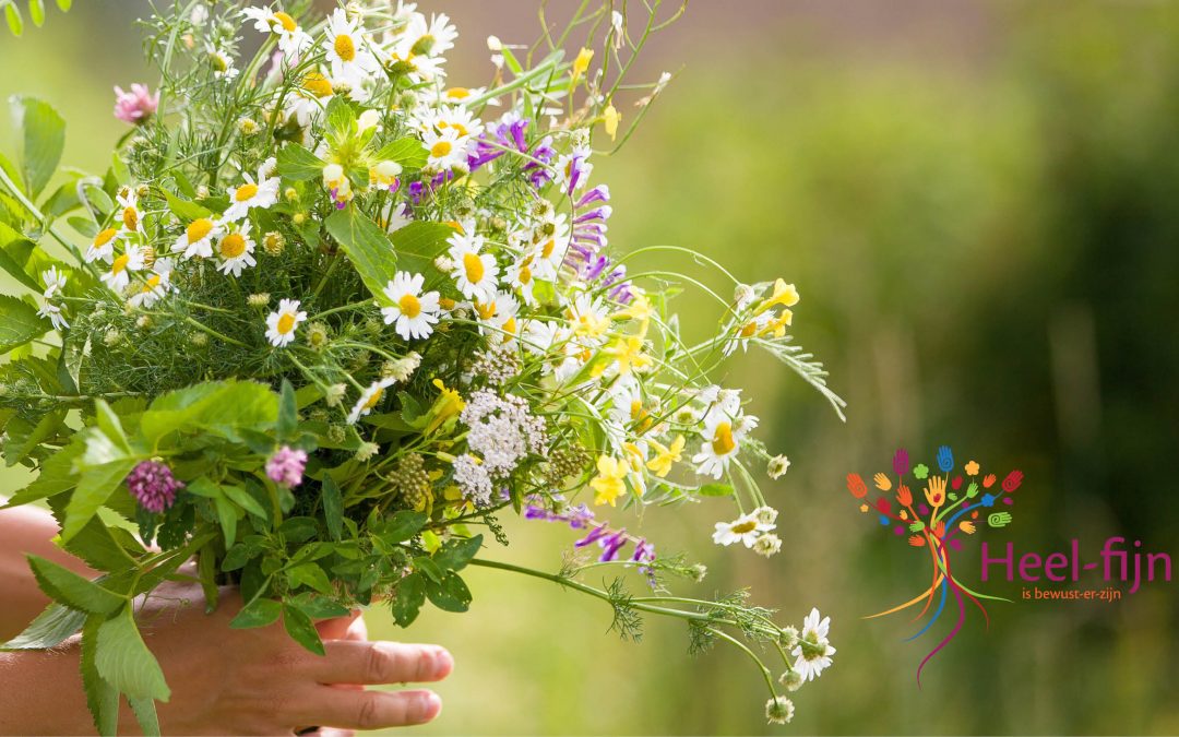 De rijkdom van de natuur