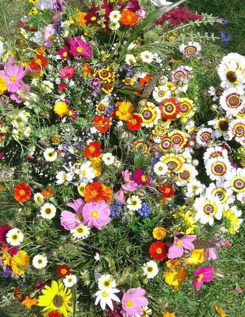 bloemenzee