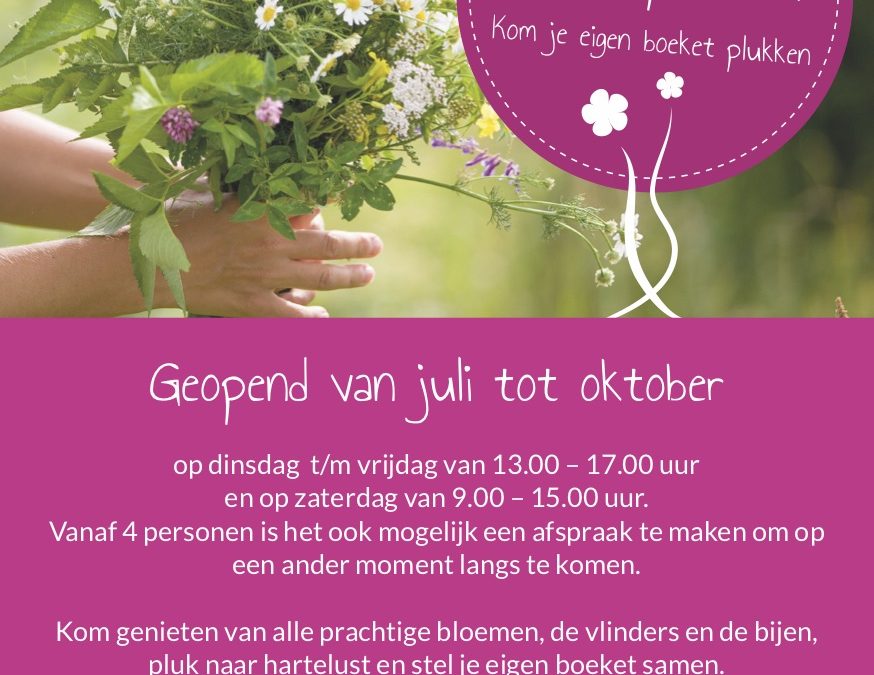 De bloemenpluktuin gaat open op zaterdag 6 juli.